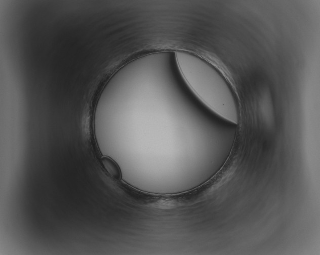 X0000101090441200806261105