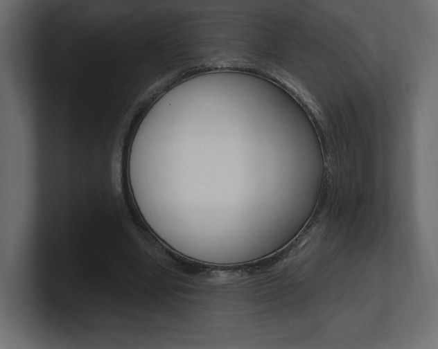 X0000101090442200806261105