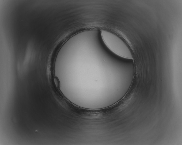 X0000101090443200806261105