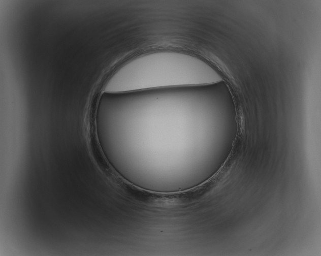 X0000101090444200806261105
