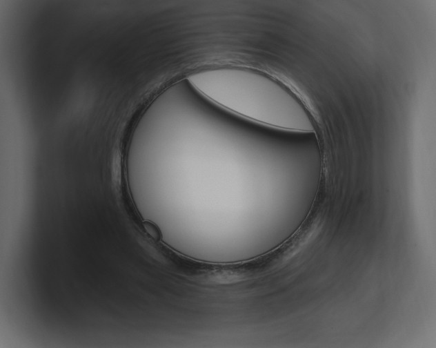 X0000101090445200806261105