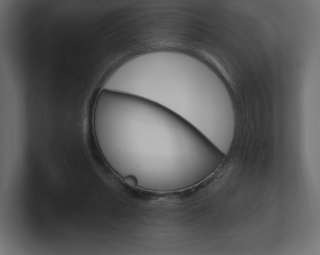 X0000101090447200806261105