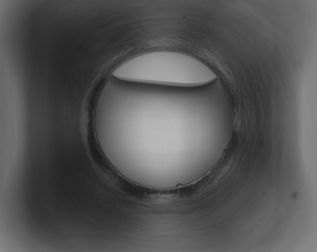 X0000101090448200806261105
