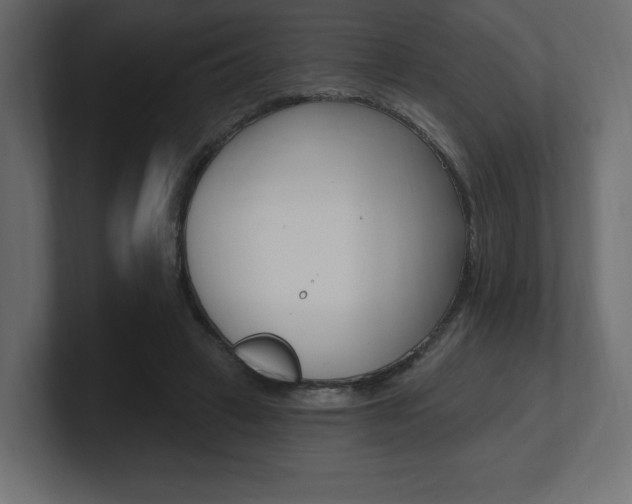 X0000101090449200806261105