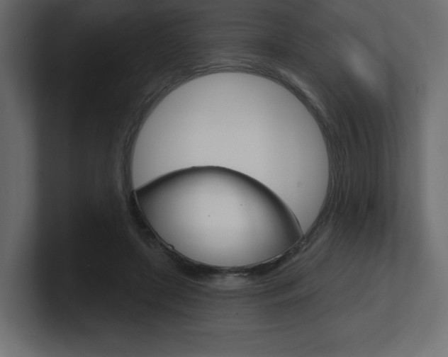 X0000101090451200806261105