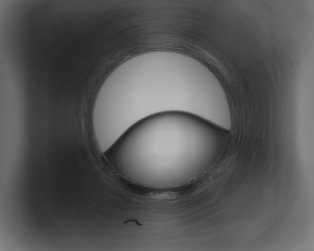 X0000101090452200806261105