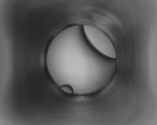 X0000101090453200806261105