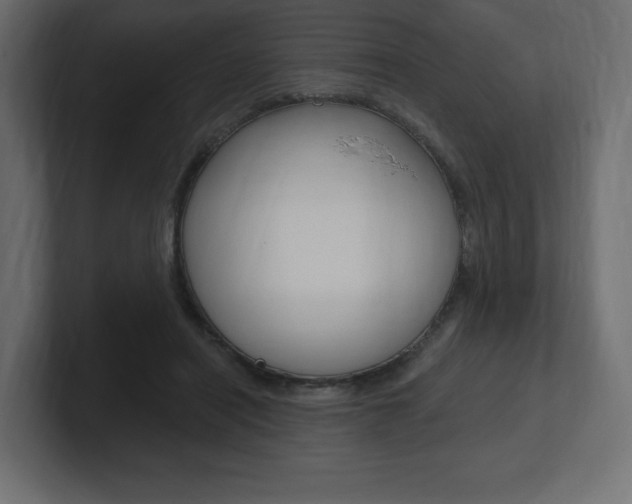 X0000101090454200806261105