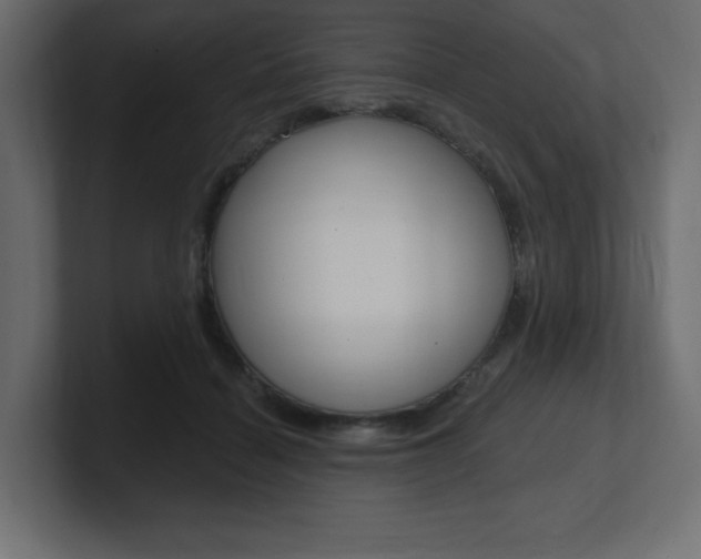 X0000101090460200806261106