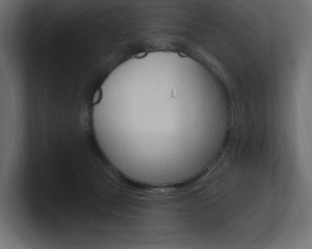 X0000101090465200806261106