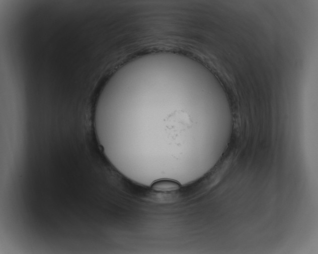 X0000101090466200806261106
