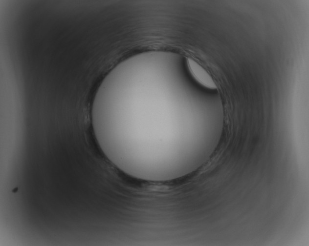 X0000101090471200806261106