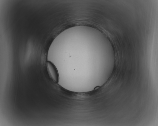 X0000101090475200806261106