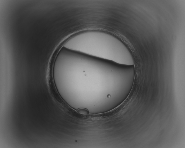 X0000101090484200806261105