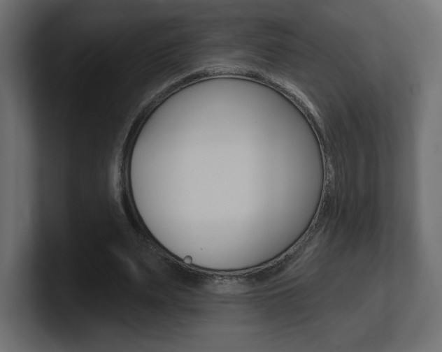 X0000101090487200806261105