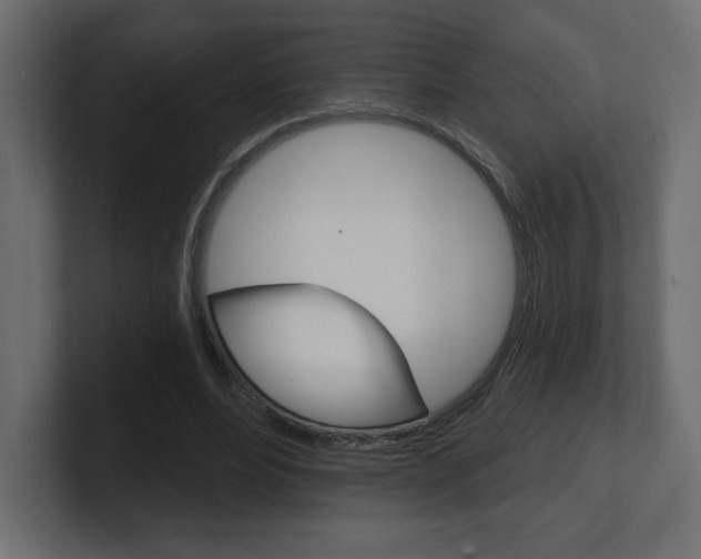 X0000101090488200806261105