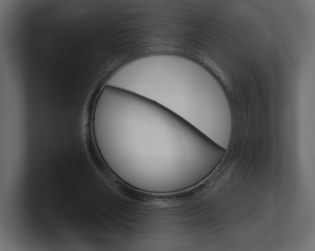 X0000101090490200806261105