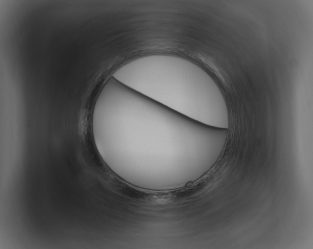 X0000101090495200806261105