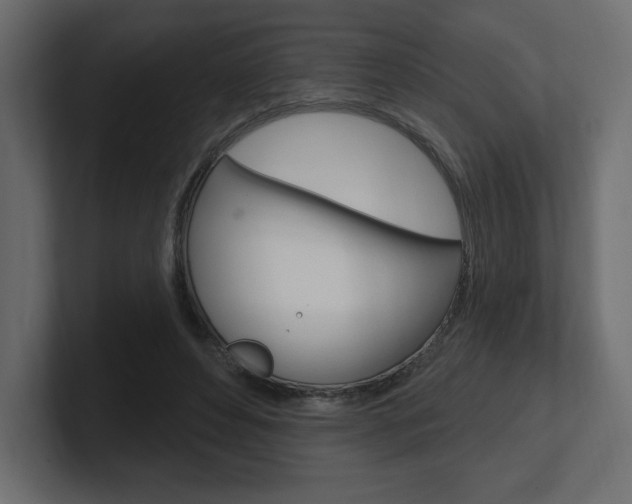 X0000101090496200806261105