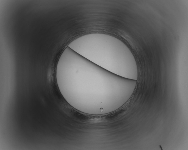 X0000101090499200806261105