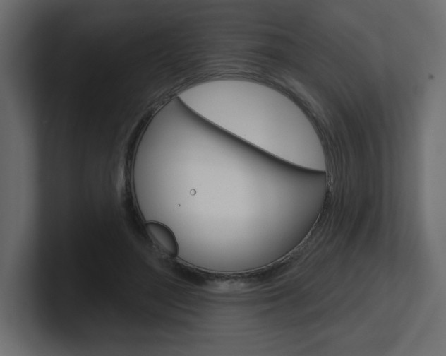 X0000101090500200806261105