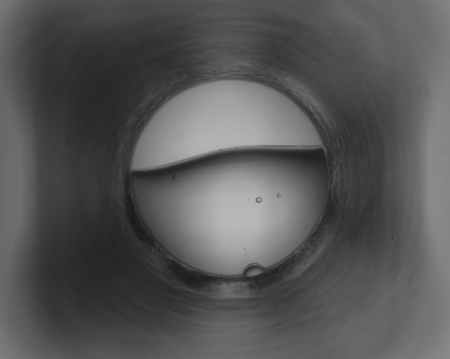 X0000101090501200806261105