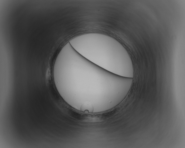 X0000101090502200806261105