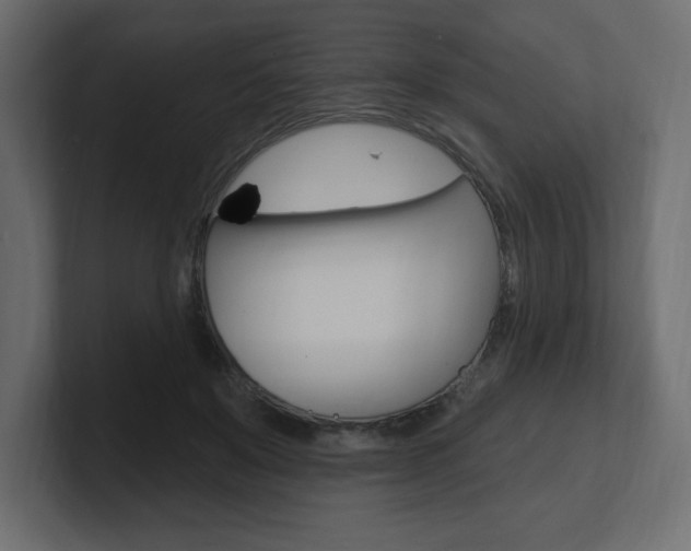 X0000101090503200806261105