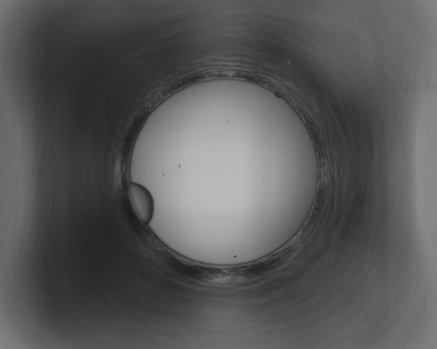 X0000101090504200806261105