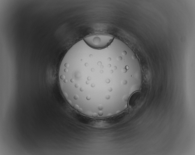 X0000101090507200806261105