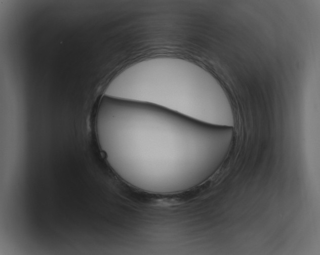 X0000101090508200806261105