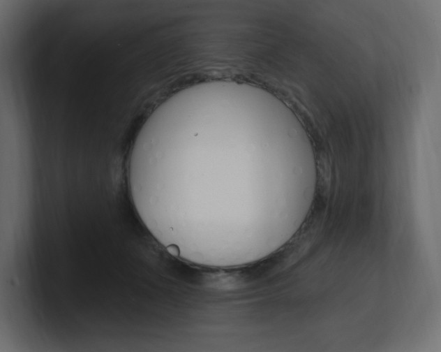 X0000101090511200806261105
