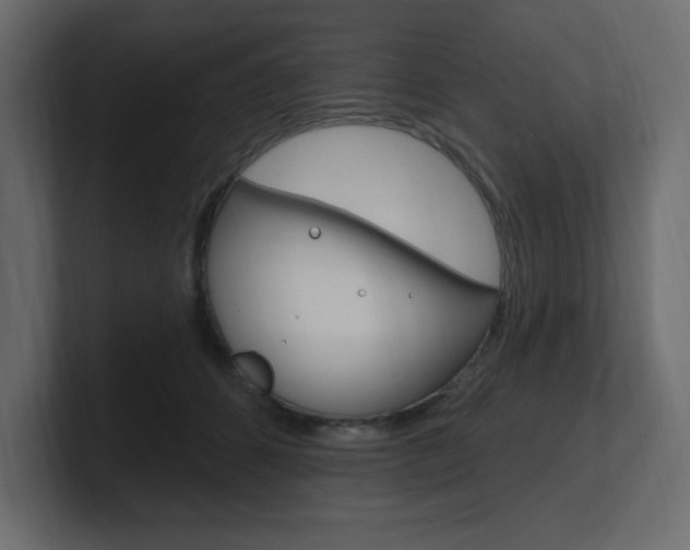 X0000101090512200806261105
