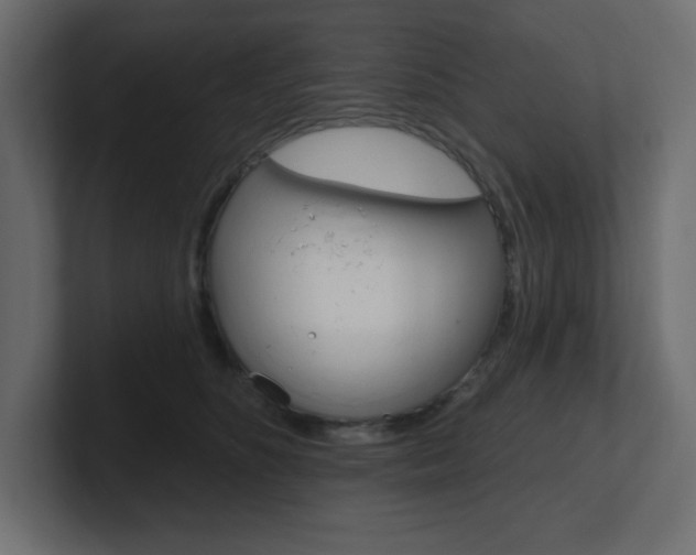 X0000101090516200806261105