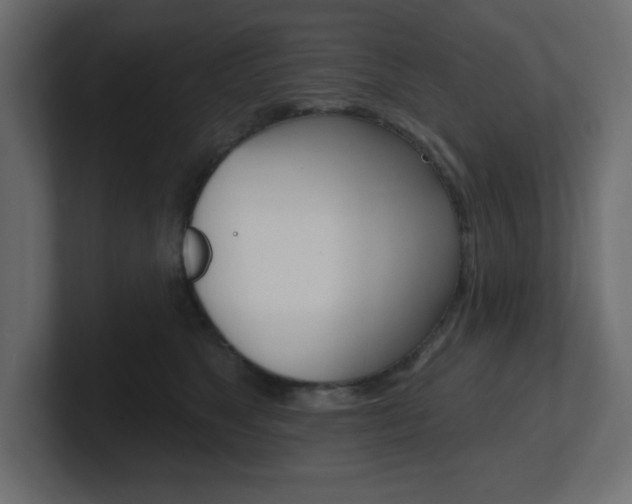 X0000101090517200806261105