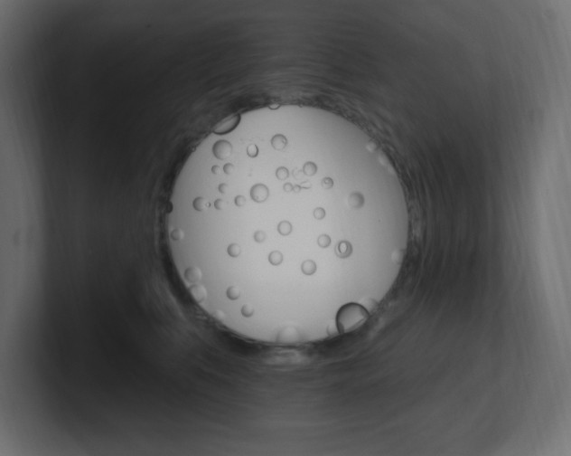 X0000101090519200806261105