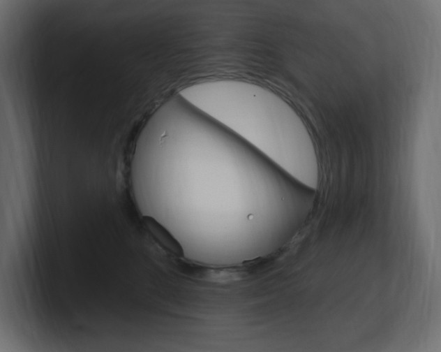 X0000101090520200806261105