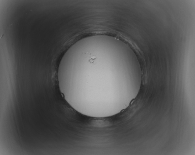 X0000101090521200806261105