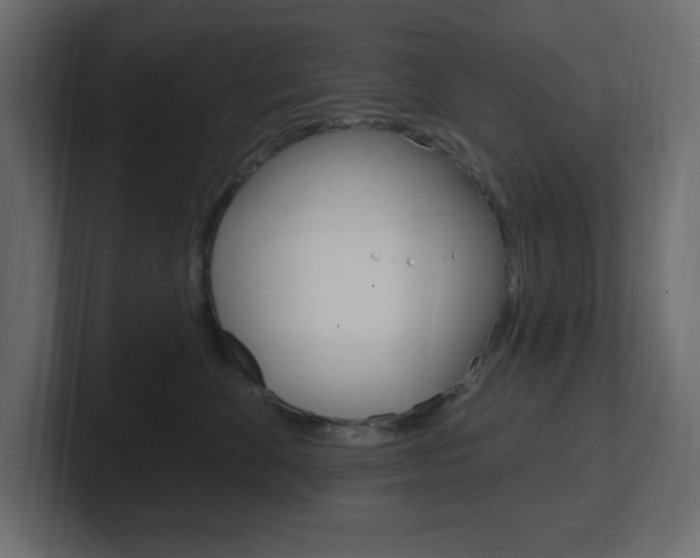 X0000101090524200806261105