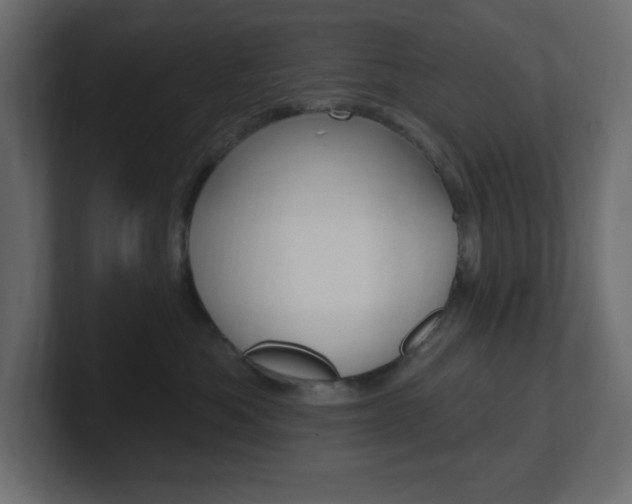 X0000101090525200806261105