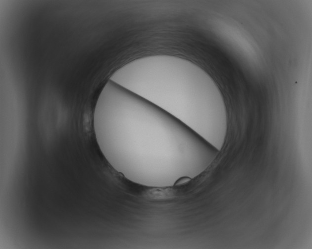 X0000101090526200806261105