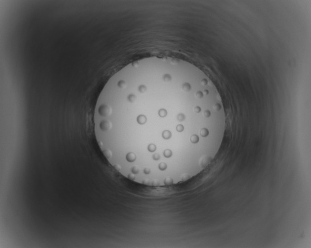 X0000101090527200806261105