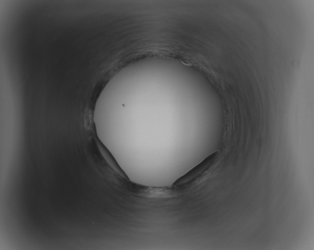 X0000101090528200806261104