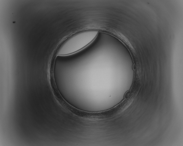 X0000101090530200806261104
