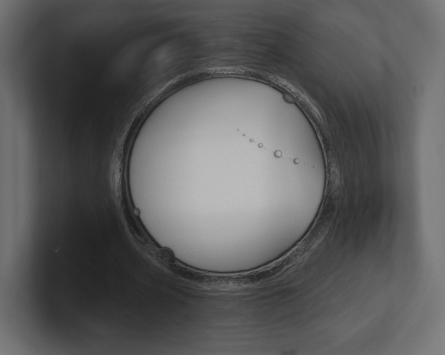 X0000101090533200806261104