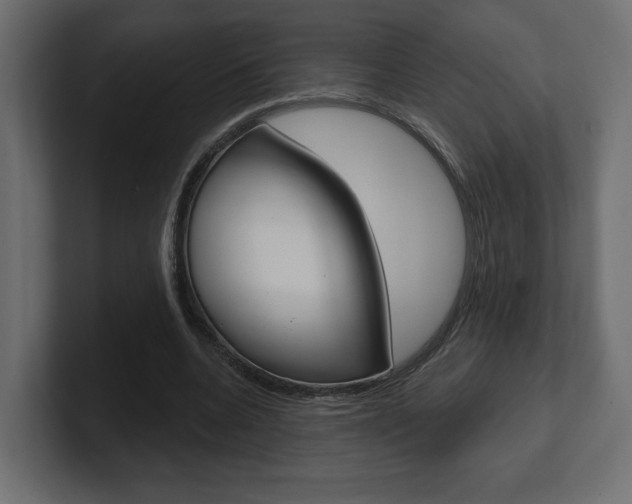 X0000101090536200806261104