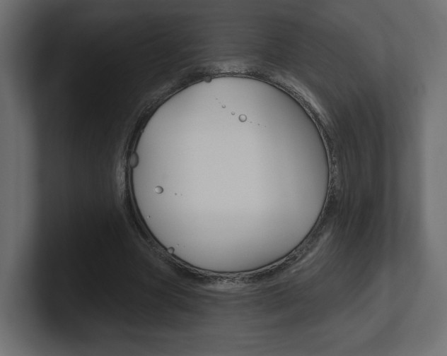 X0000101090537200806261104