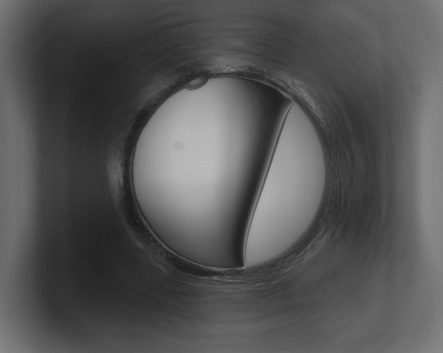 X0000101090539200806261104