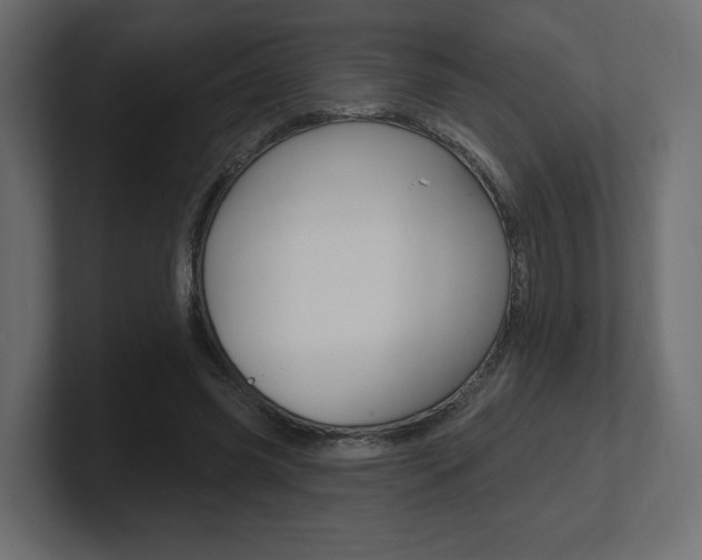X0000101090541200806261104