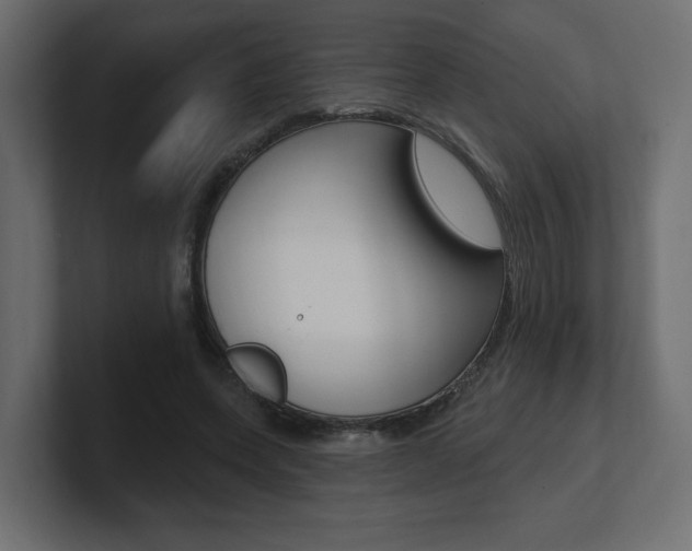 X0000101090543200806261104